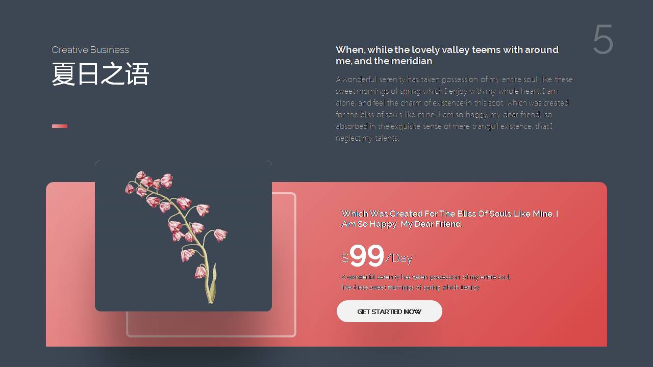 以夏日为主的ppt模板