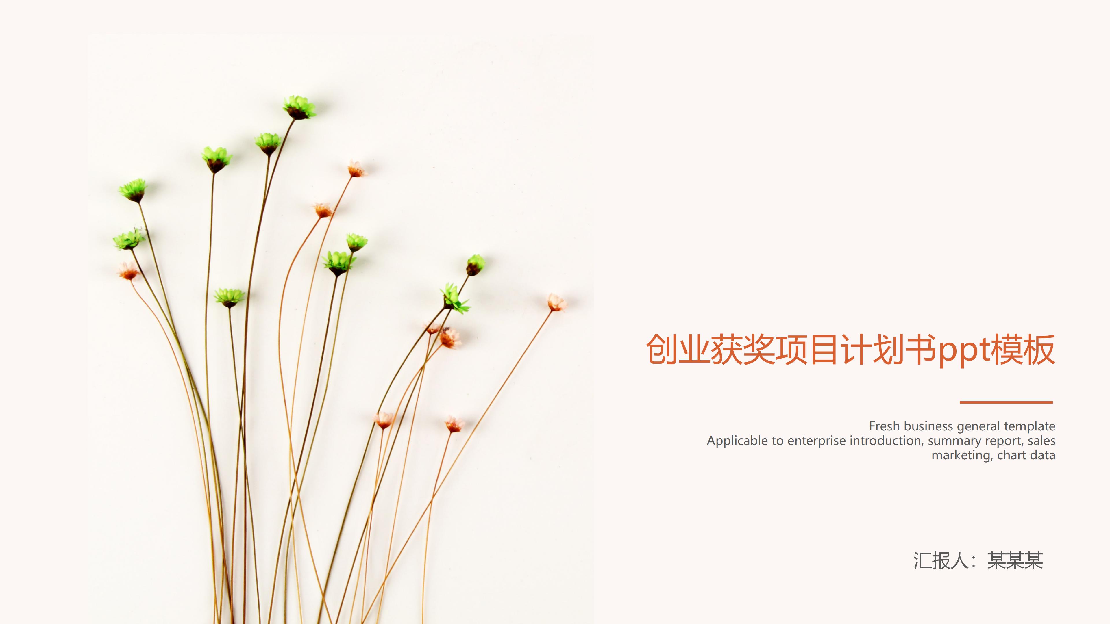 创业获奖项目计划书ppt模板