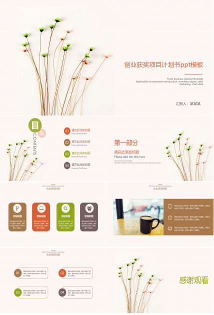 创业获奖项目计划书ppt模板