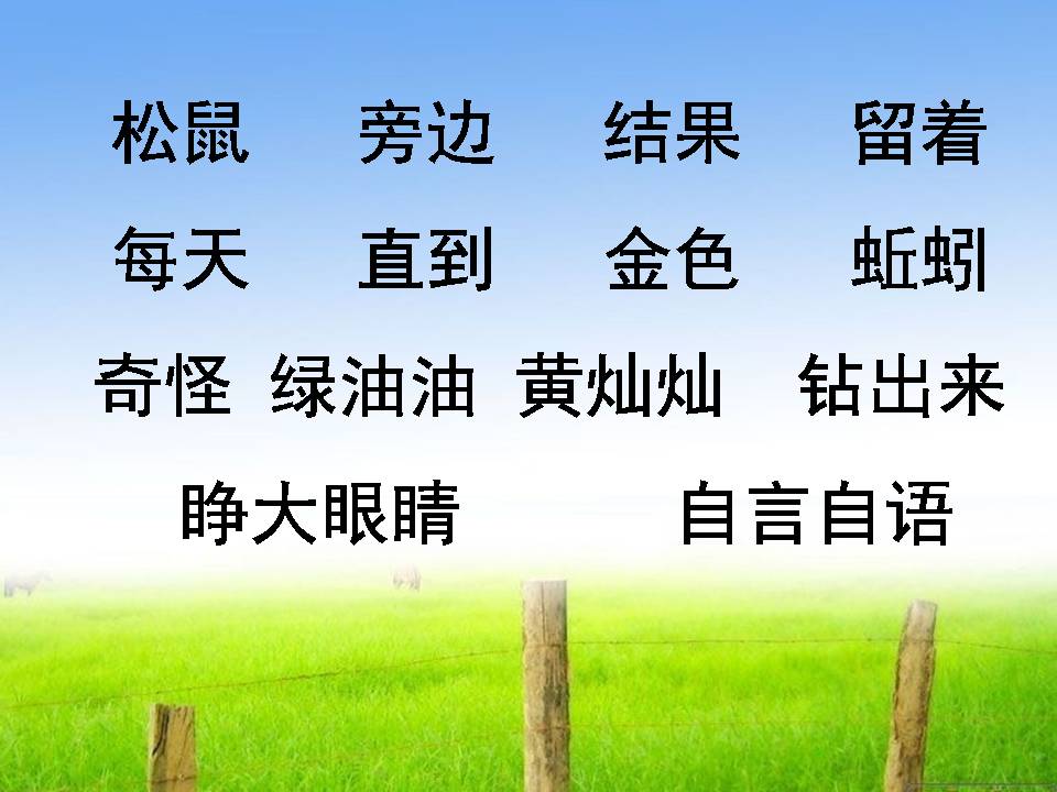 小松鼠找花生果ppt