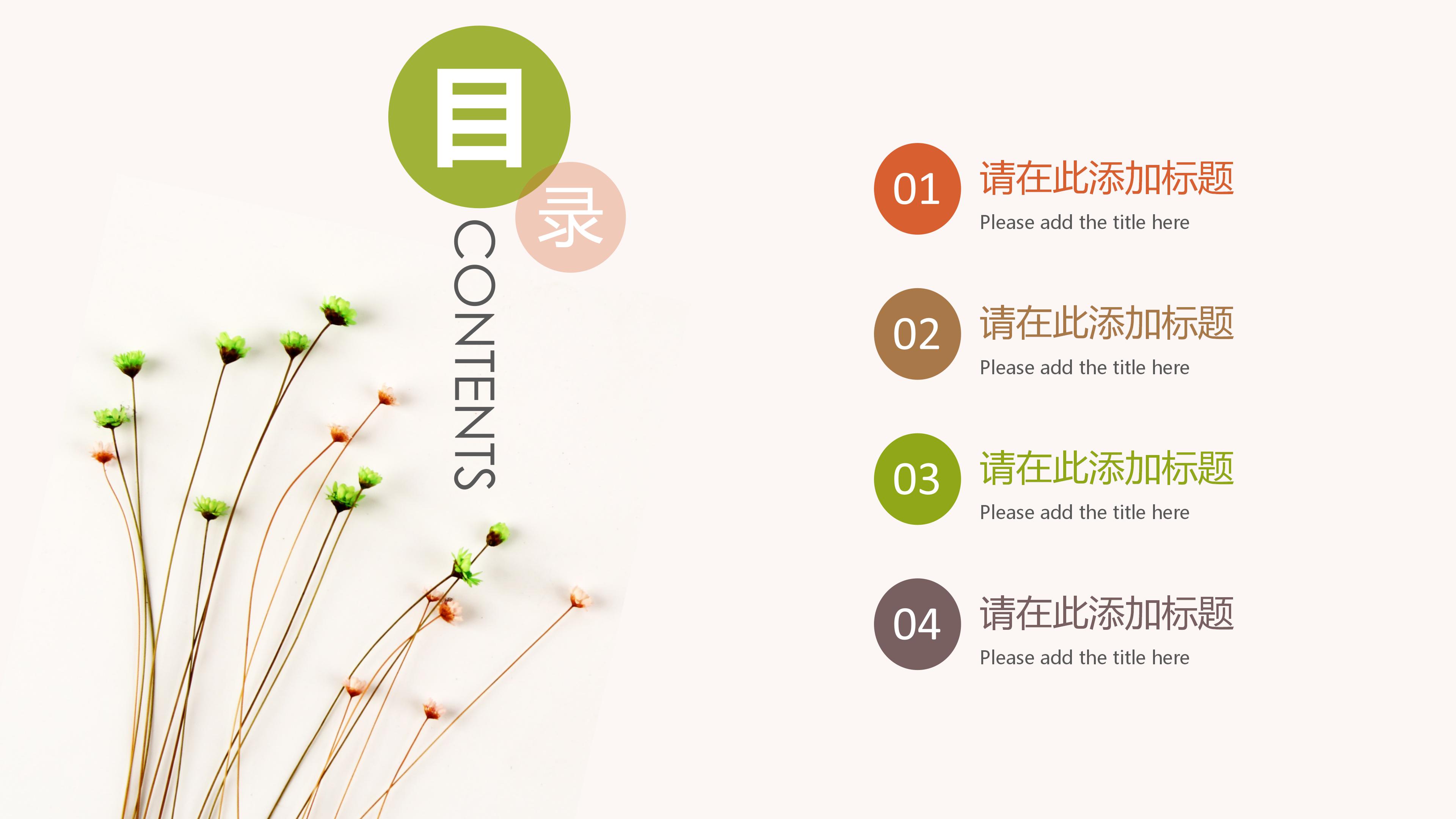 创业获奖项目计划书ppt模板