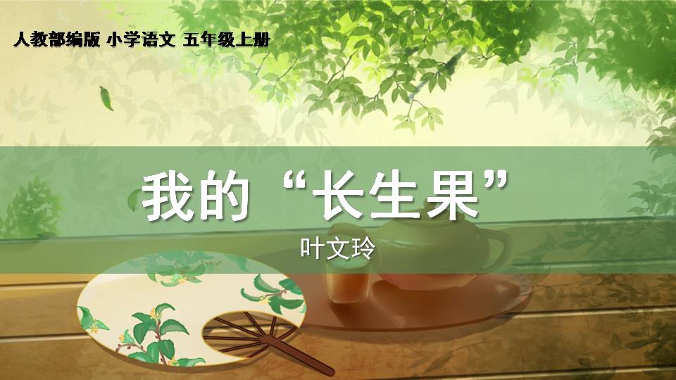 我的长生果ppt课件