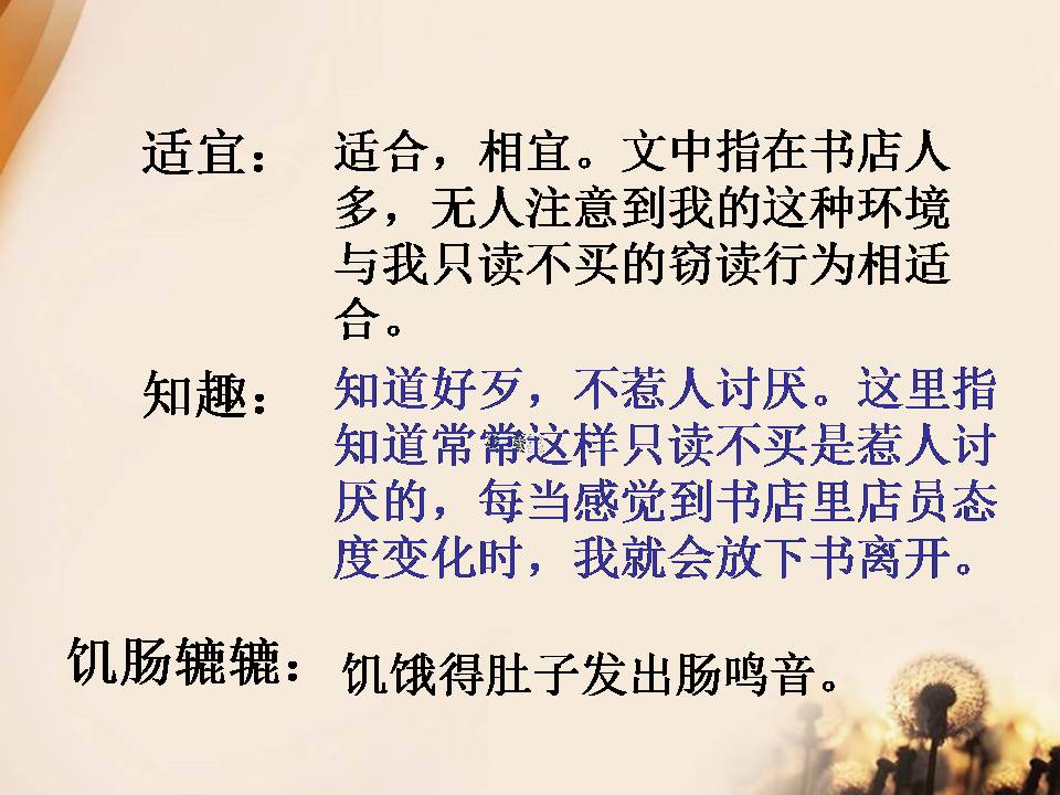 五年级语文窃读记ppt课件