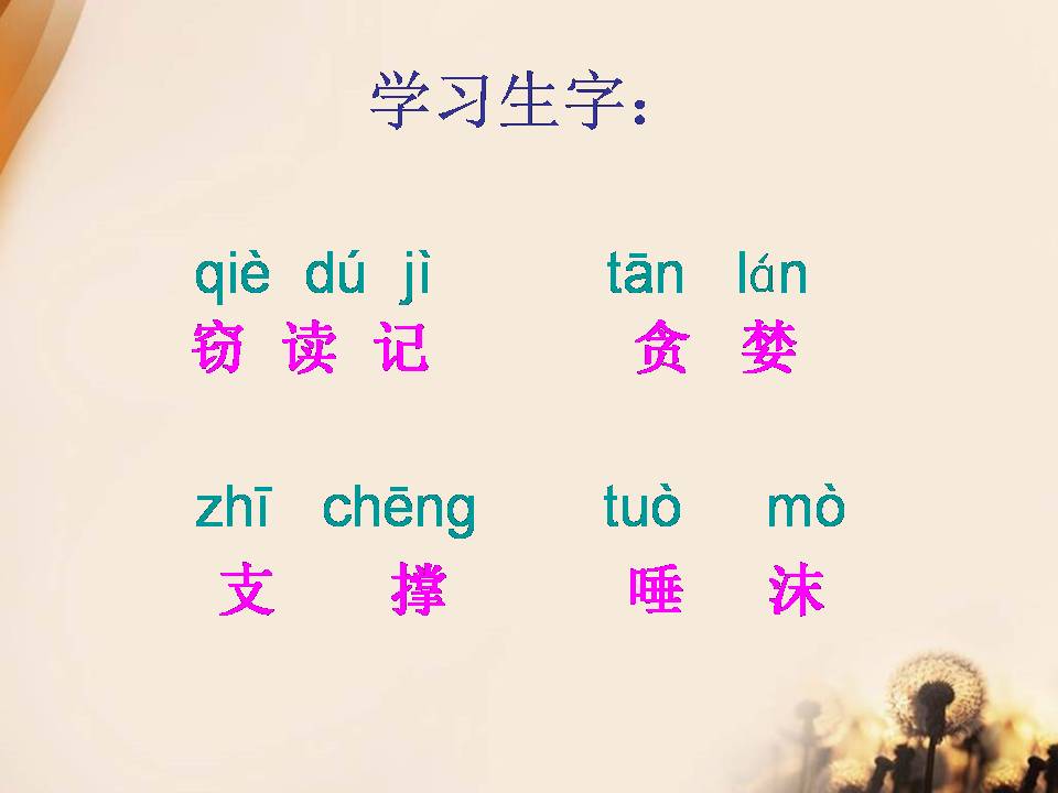 五年级语文窃读记ppt课件