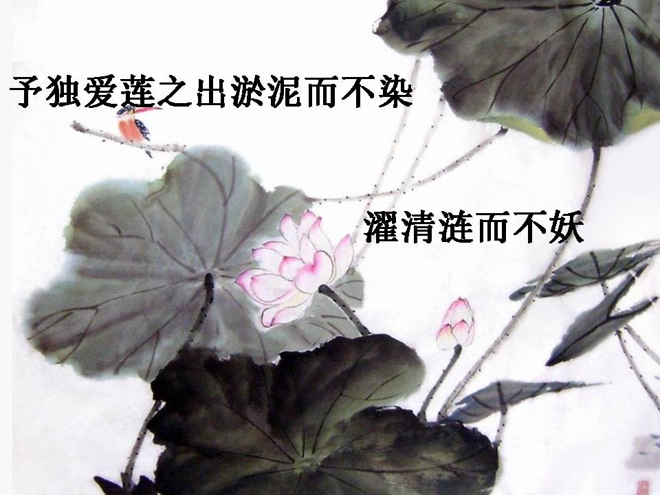 爱莲说公开课ppt