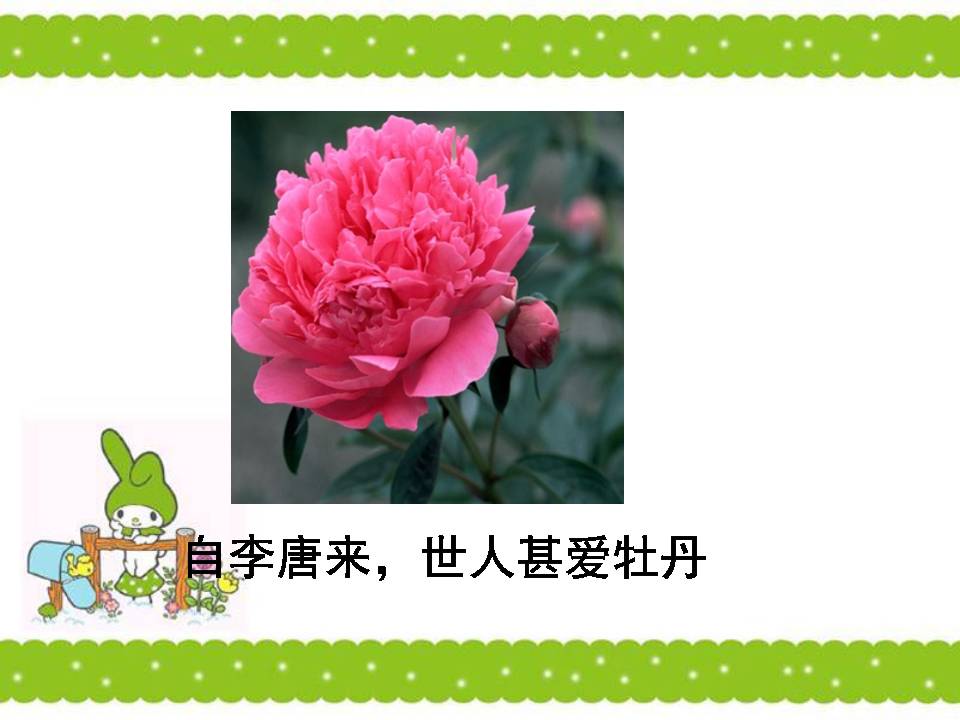 爱莲说ppt课件模板