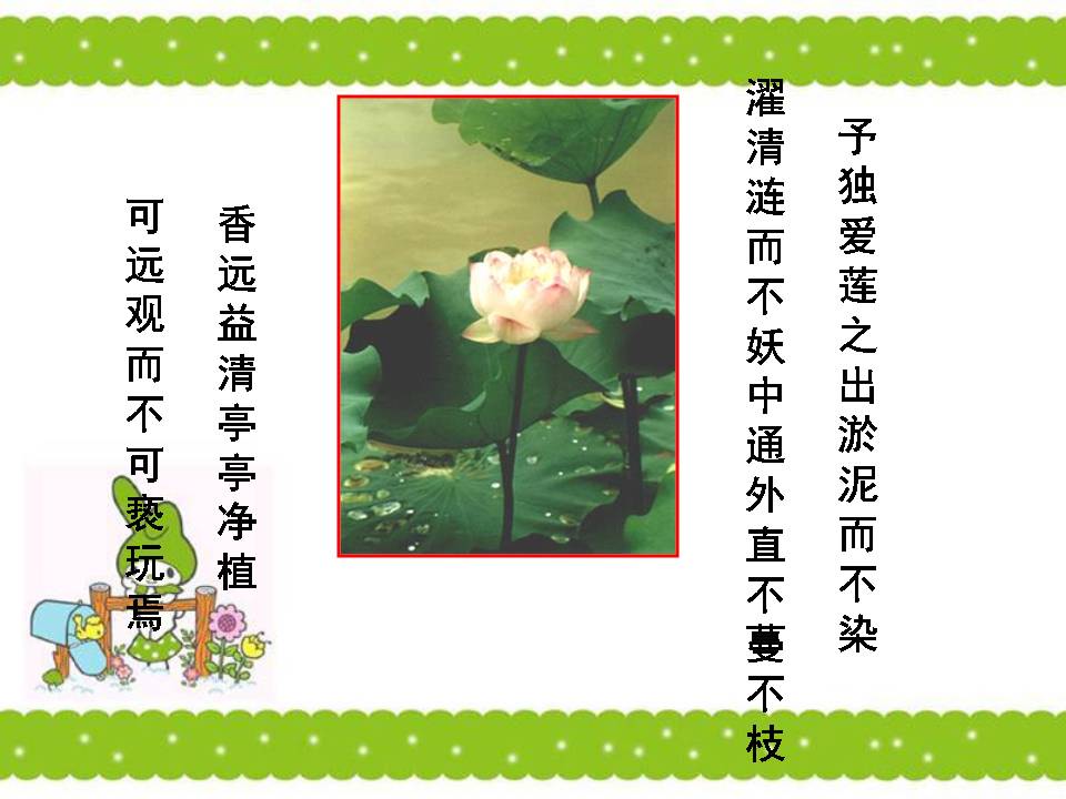 爱莲说ppt课件模板