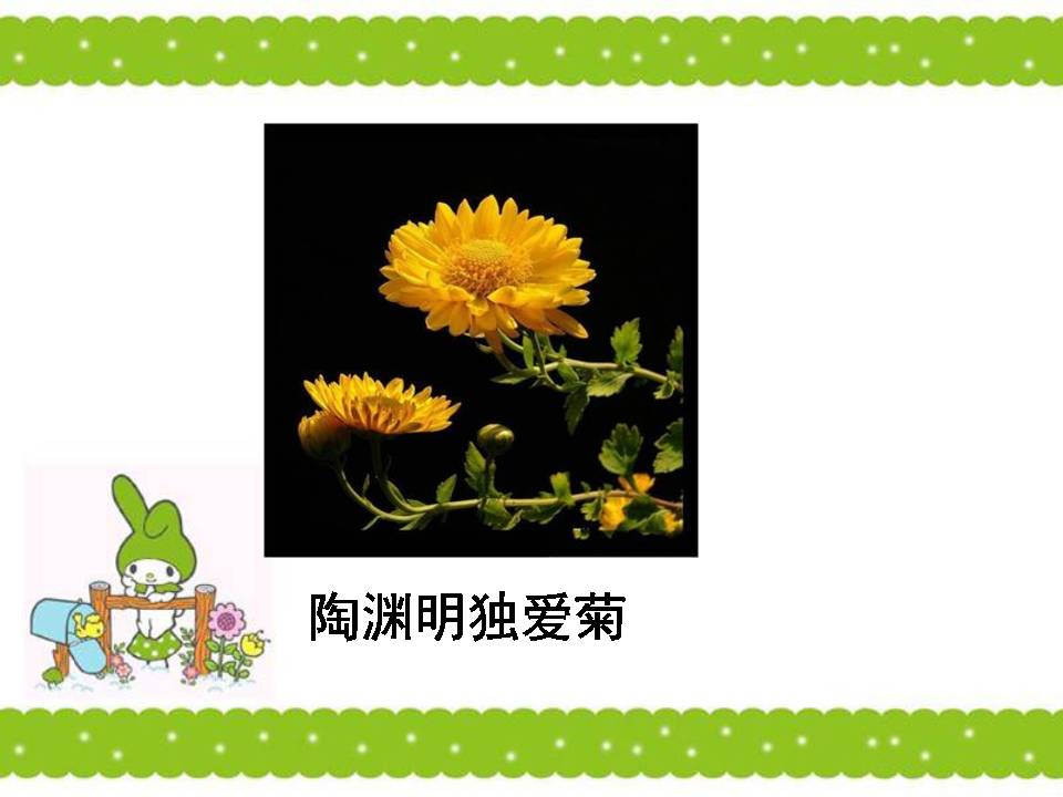 爱莲说ppt课件模板