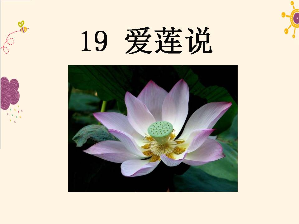 爱莲说朗诵ppt模板