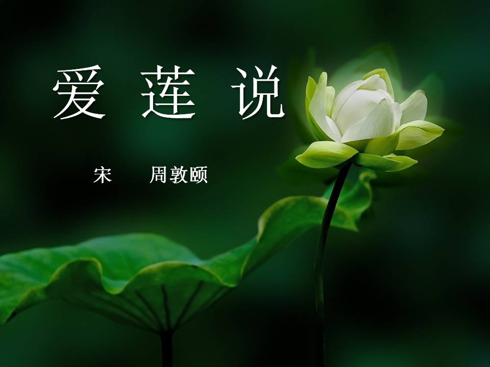 语文爱莲说ppt