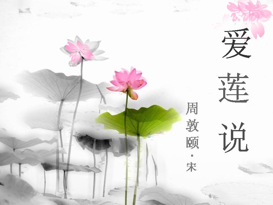 爱莲说公开课ppt