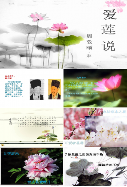 爱莲说公开课ppt