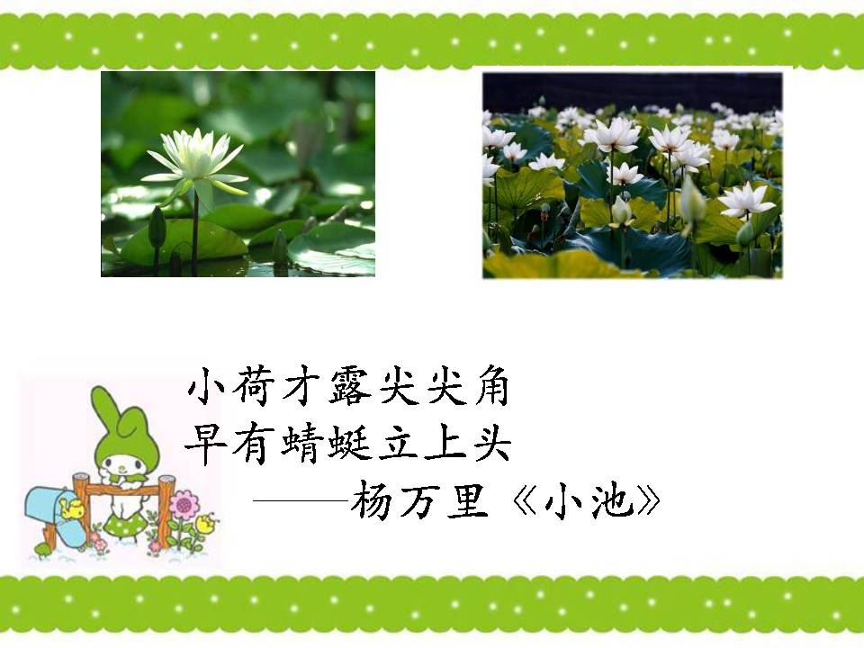 爱莲说ppt课件模板