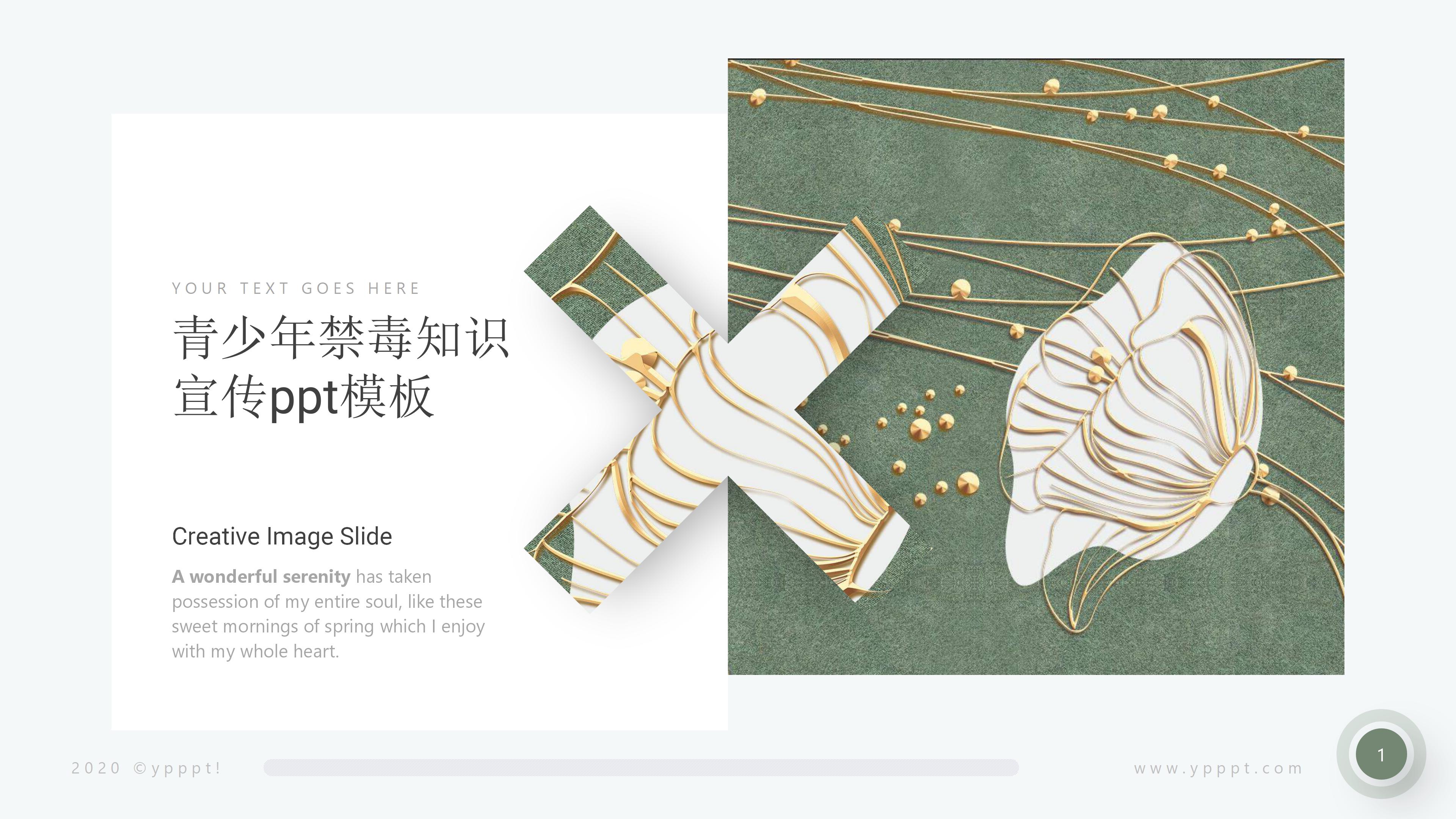 青少年禁毒知识宣传ppt模板