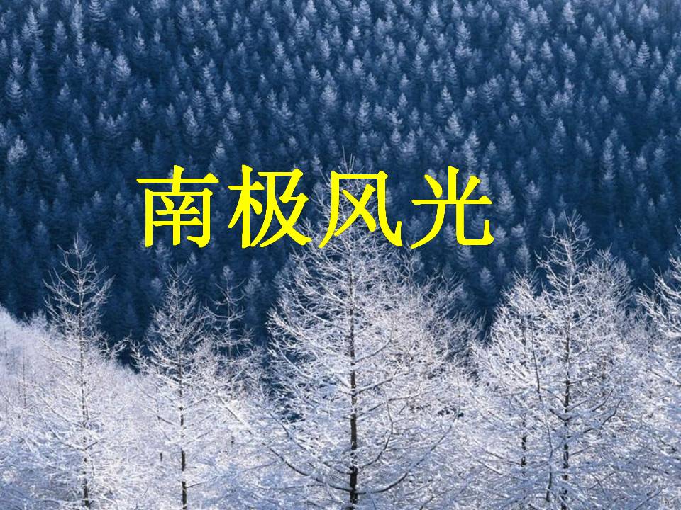 伟大的悲剧ppt课件 