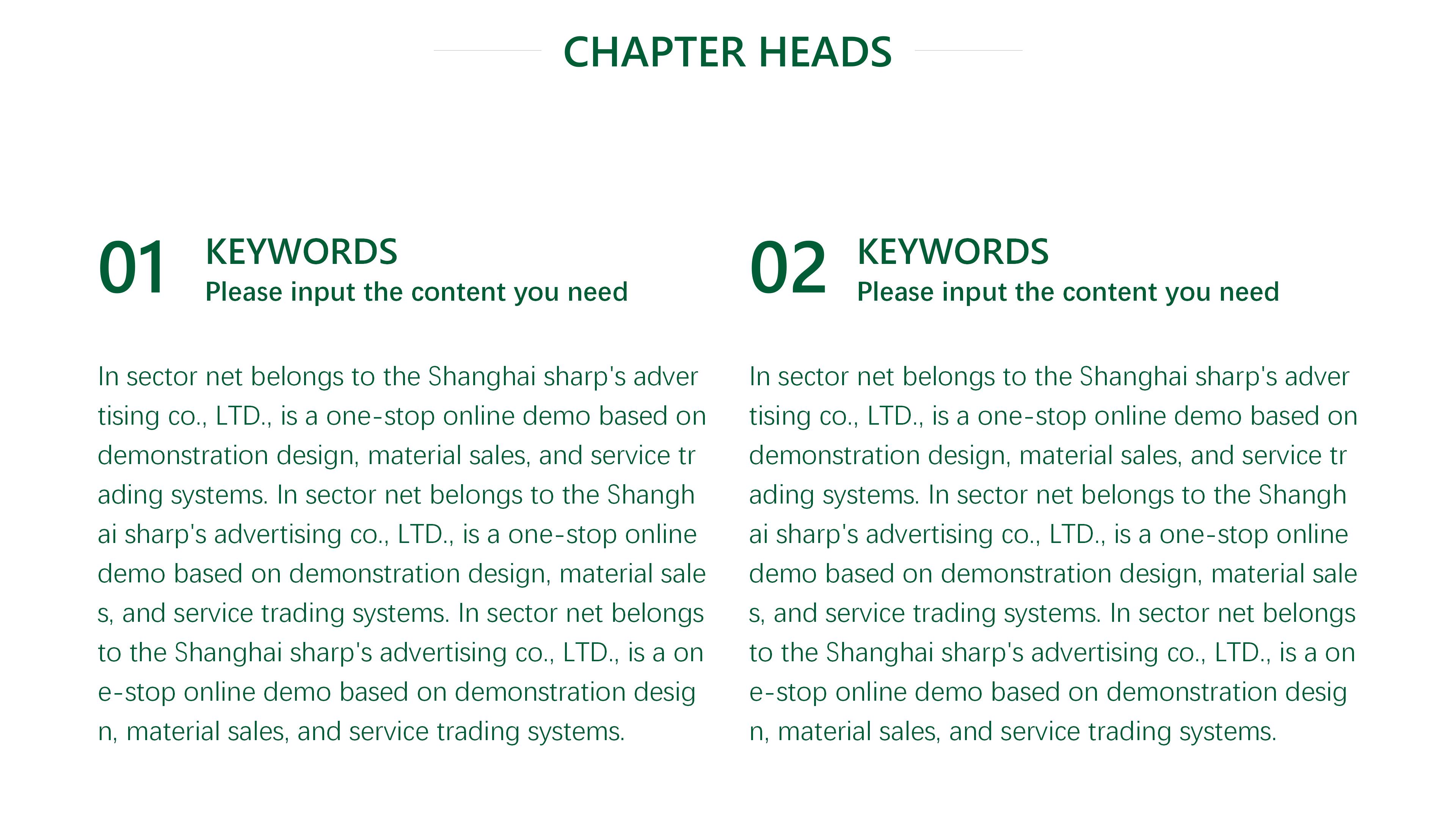 电商公司年度发展规划ppt模板