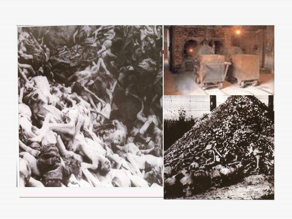 我亲爱的爸爸妈妈ppt课件