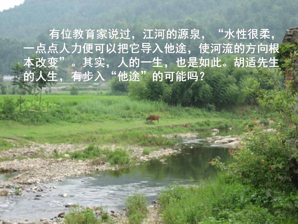 我的母亲微课ppt 