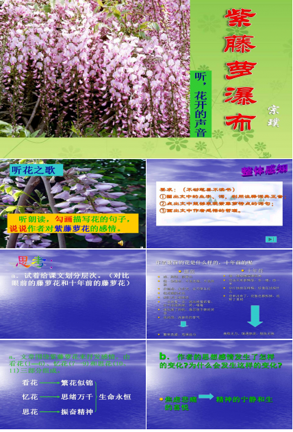 紫藤萝瀑布公开课ppt