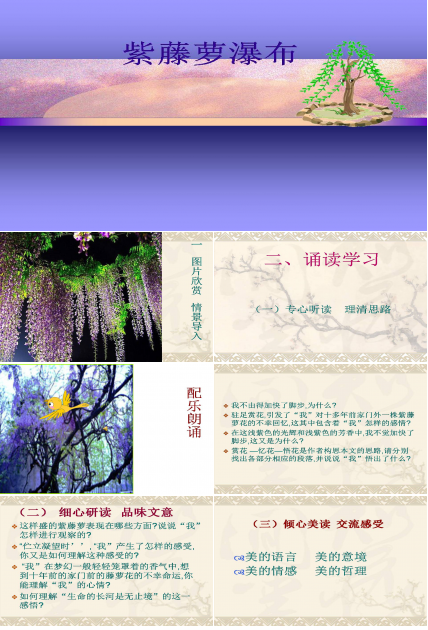 紫藤萝瀑布ppt说课稿