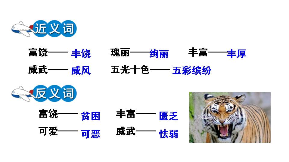 22富饶的西沙群岛ppt
