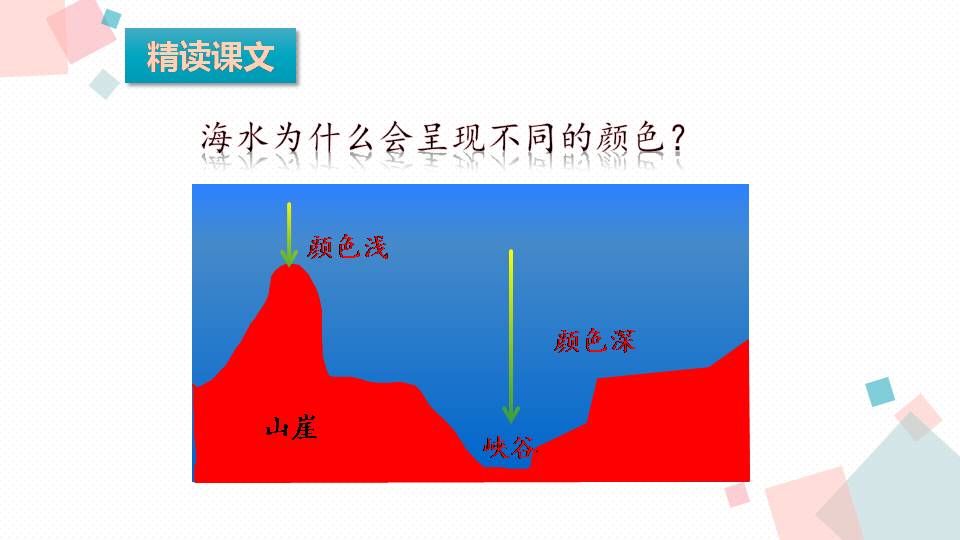美丽富饶的西沙群岛ppt