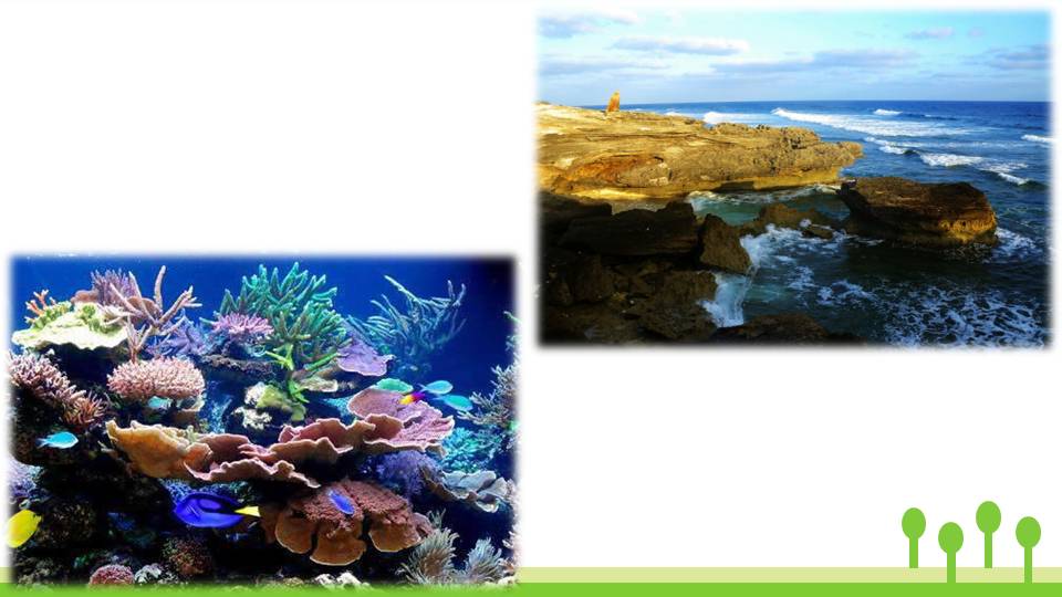 富饶的西沙群岛ppt模板课件