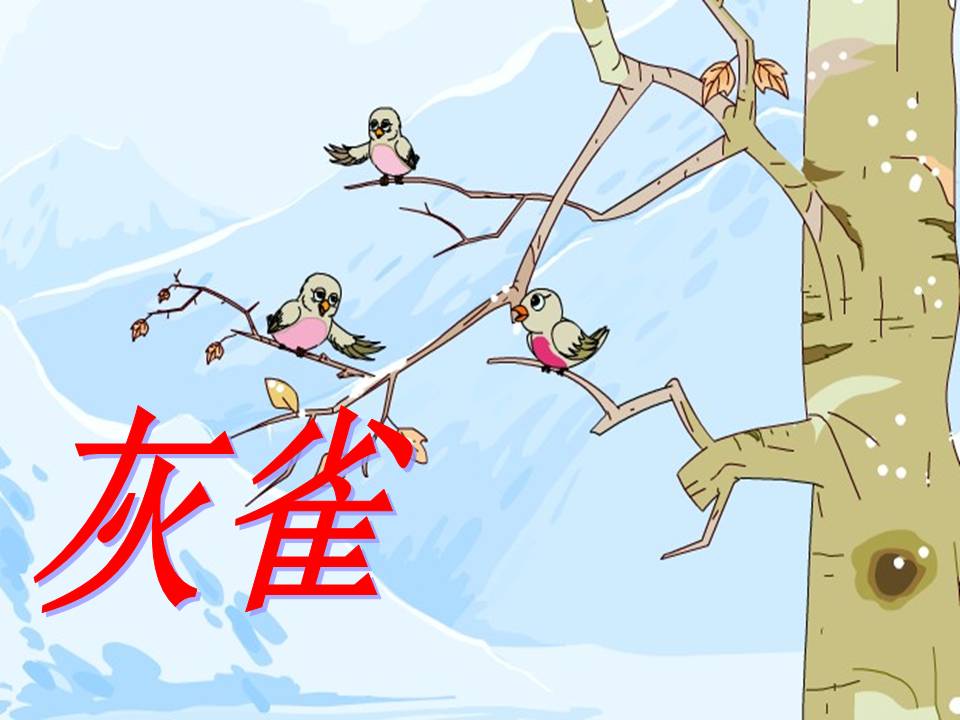 鲁教版灰雀课件ppt模板