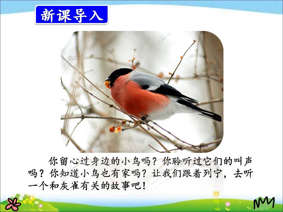 三年级上册灰雀ppt