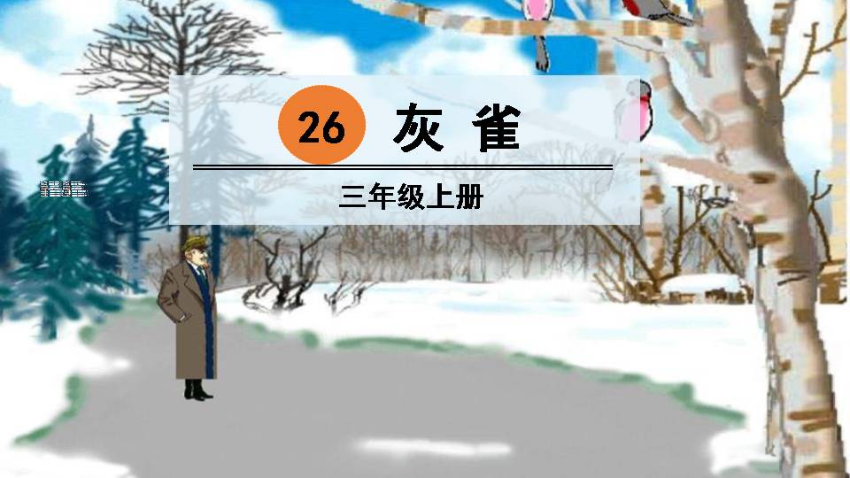 灰雀语文课件ppt模板
