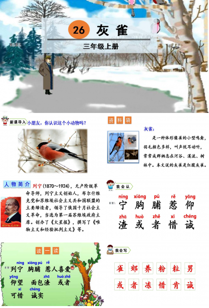 灰雀语文课件ppt模板