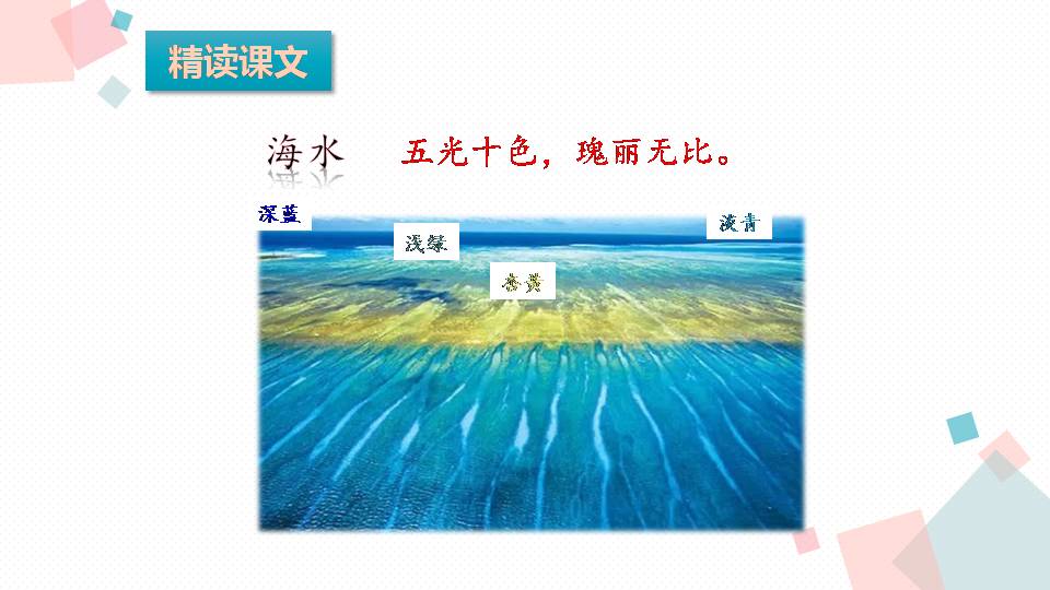 美丽富饶的西沙群岛ppt