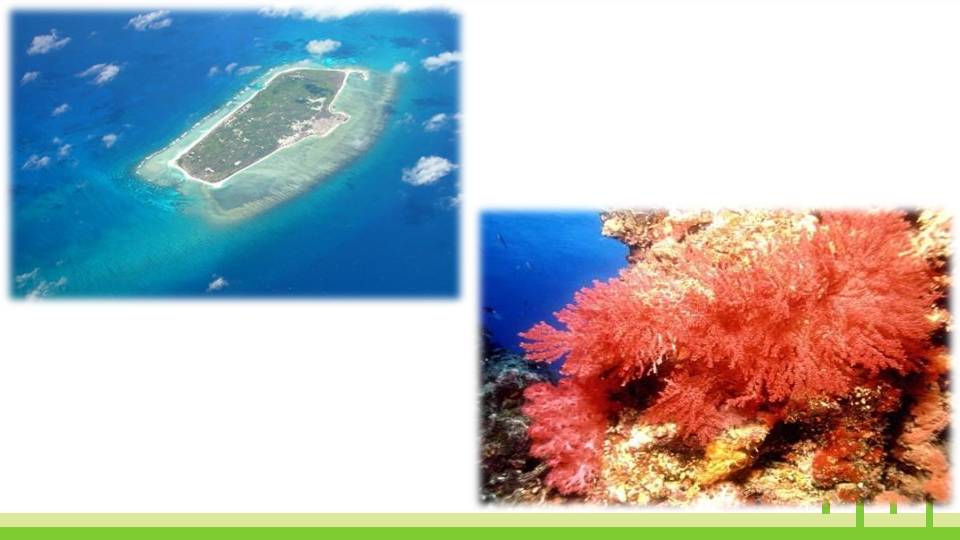 富饶的西沙群岛ppt模板课件