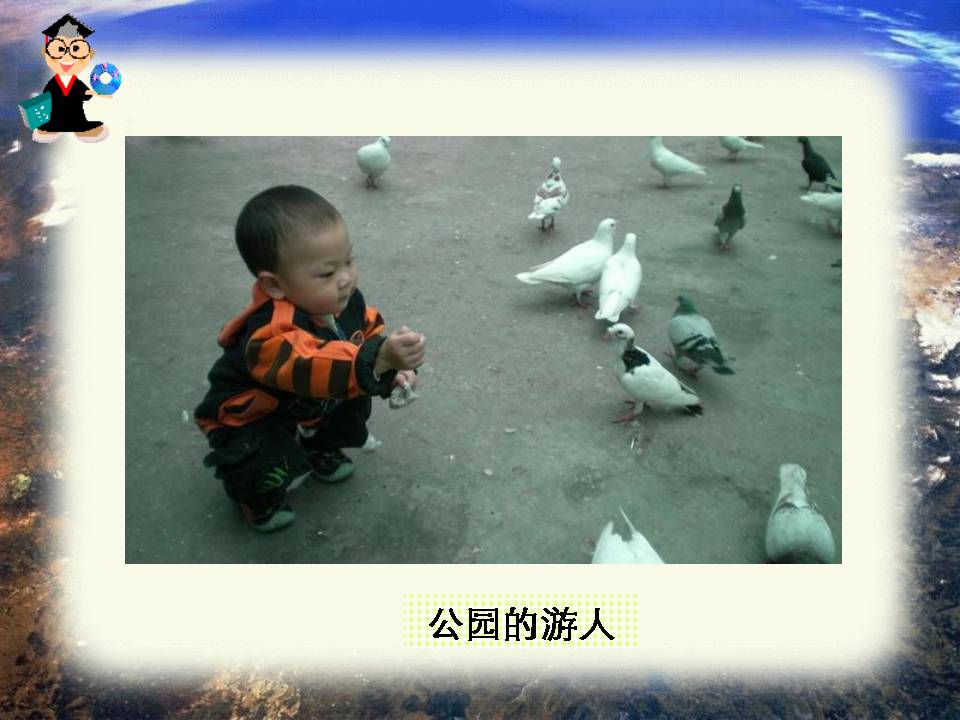 鲁教版灰雀课件ppt