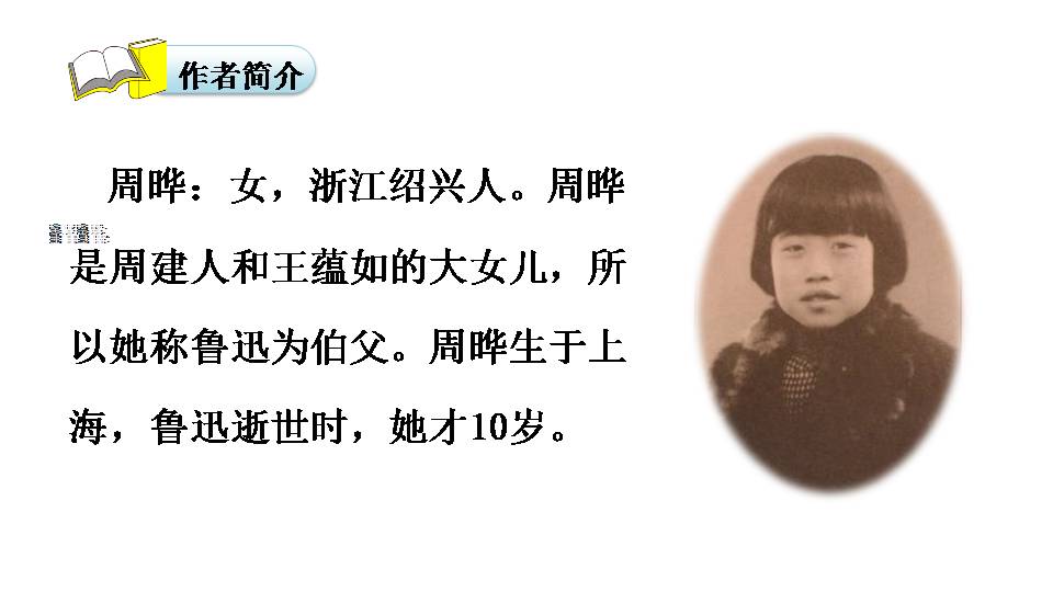我的伯父鲁迅先生教学ppt 