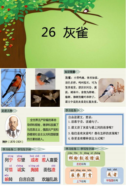 课文灰雀用的ppt