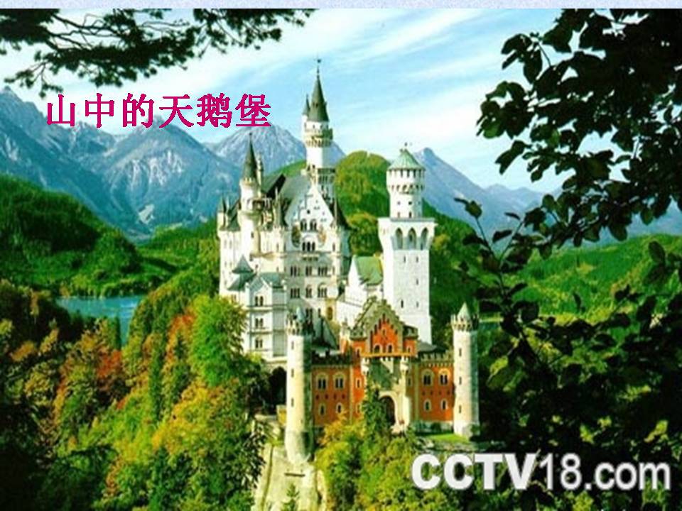 自己的花是让别人看的ppt完美版