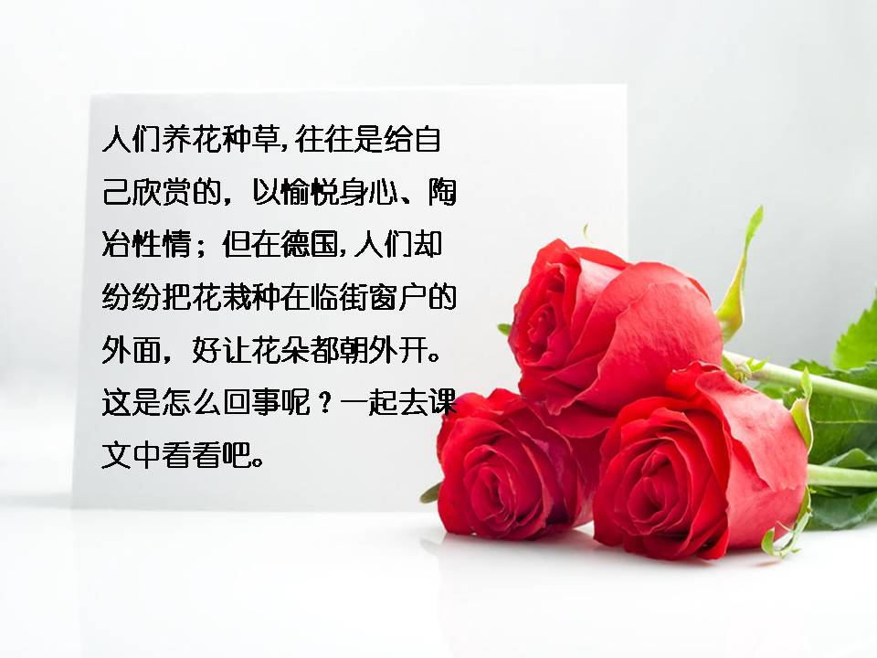 25自己的花是让别人看的ppt