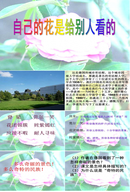 自己的花是让别人看ppt模板