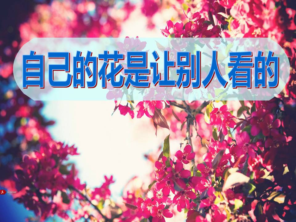 25自己的花是让别人看的ppt