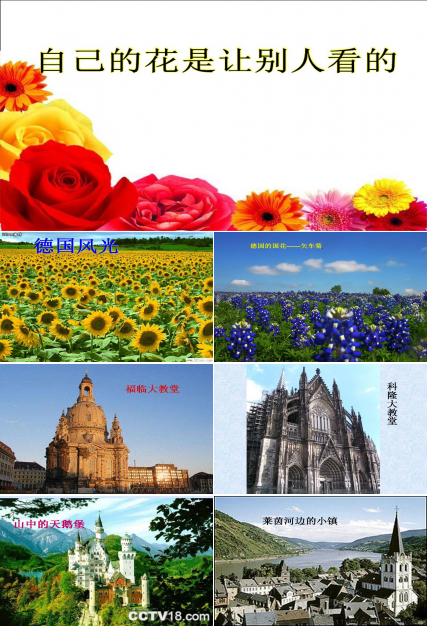 自己的花是让别人看的ppt完美版