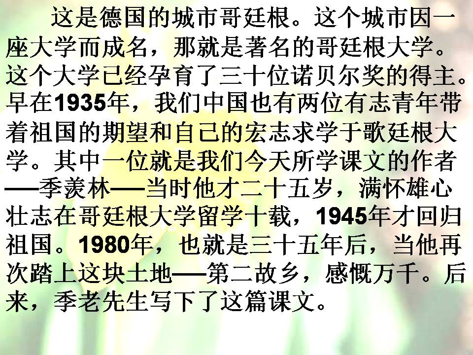 自己的花是让别人看ppt模板