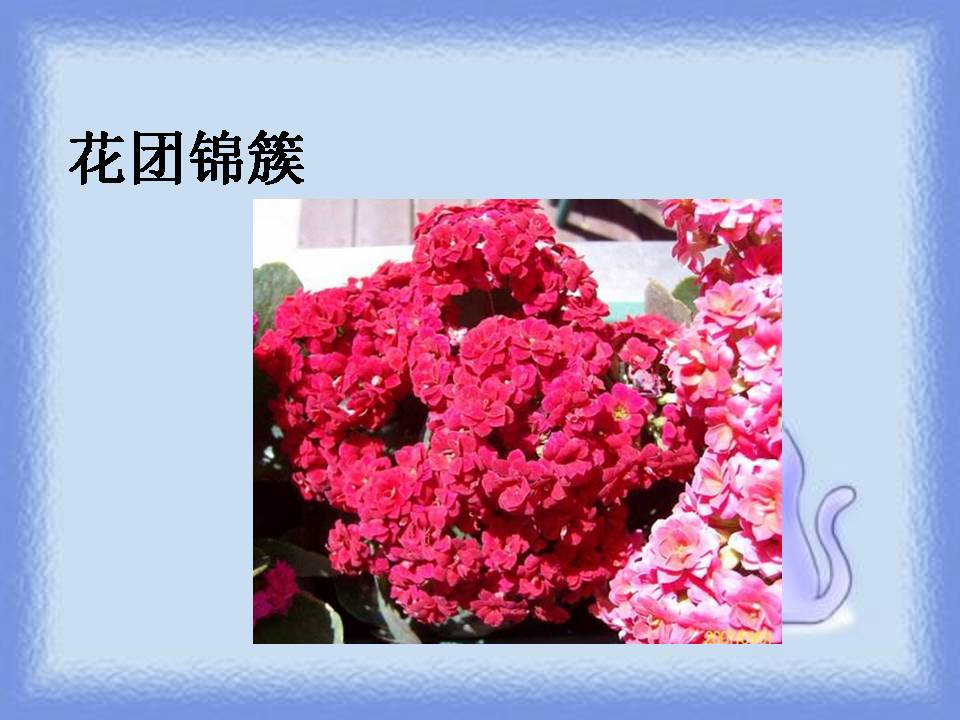 自己的花是让别人看的ppt课件