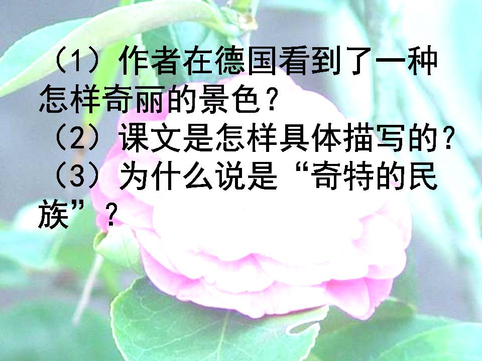 自己的花是让别人看ppt模板