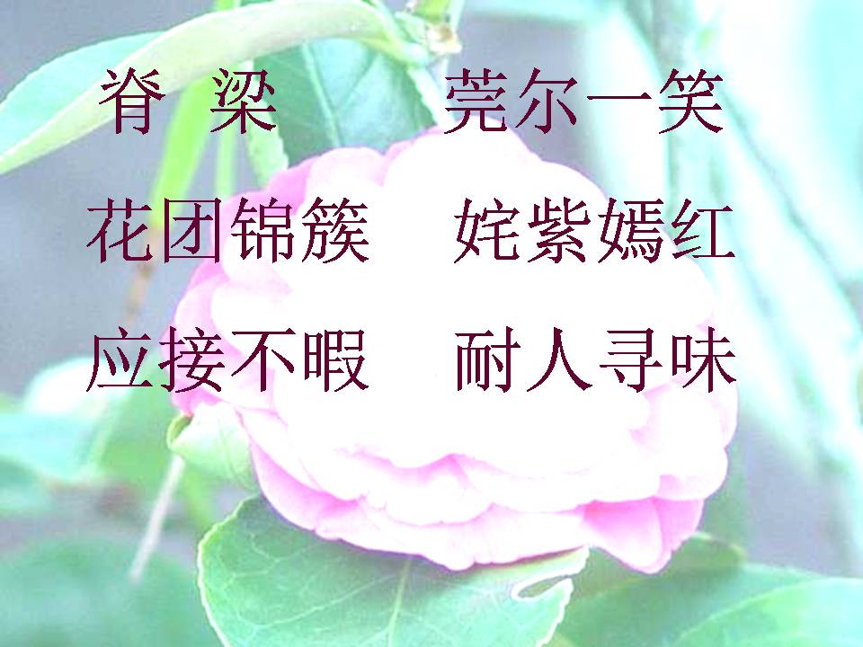 自己的花是让别人看ppt模板