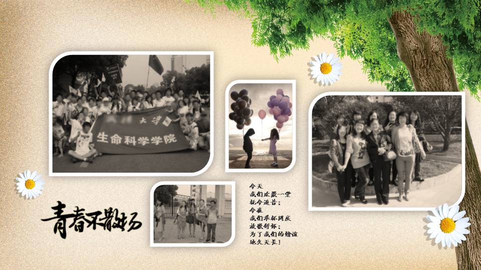 匆匆那年同学聚会宣传ppt