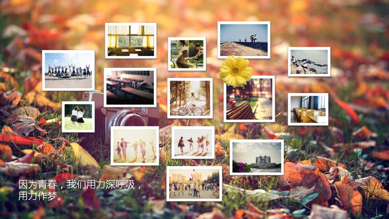 图文同学聚会ppt模板