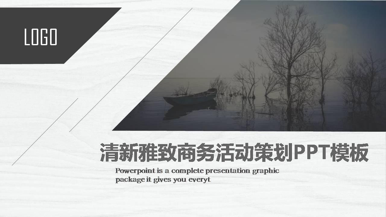 活动策划书模板ppt