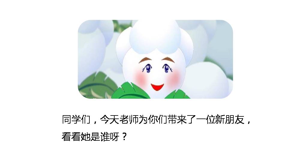 棉花姑娘教学ppt