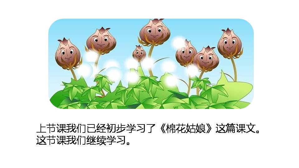 棉花姑娘优秀ppt